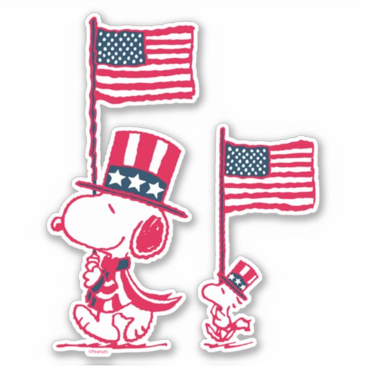 pinda's | American Summer Old Glory Sticker (Voorkant)
