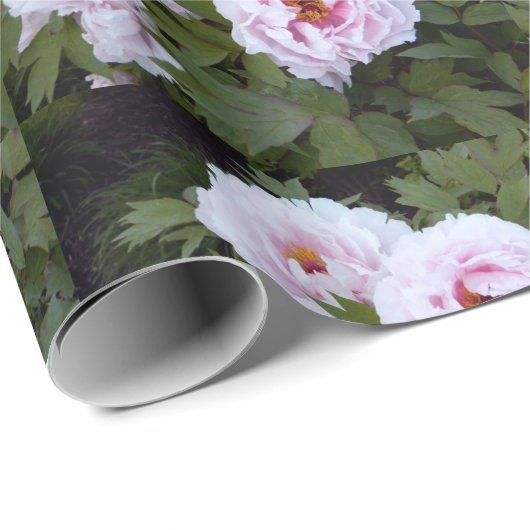  pinda's cadeaupapier (Rol Hoek)