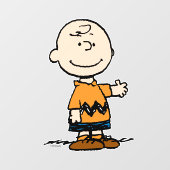 pinda's | Charlie Brown Raamsticker (Vel)