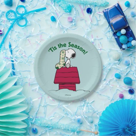 pinda's | "Dit is het seizoen! Papieren Bordje (Feest)