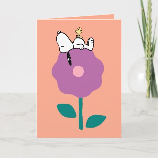 pinda's | Het is goed om vrienden te hebben | Foto Kaart (Voorkant)