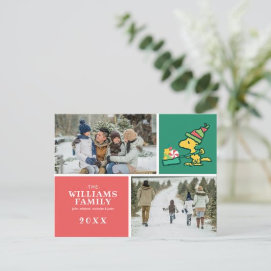 pinda's | Hoe meer de Merrier Feestdagenkaart (Staand voorkant)