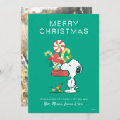 pinda's | Hoe meer de Merrier Feestdagenkaart (Voorkant / Achterkant)