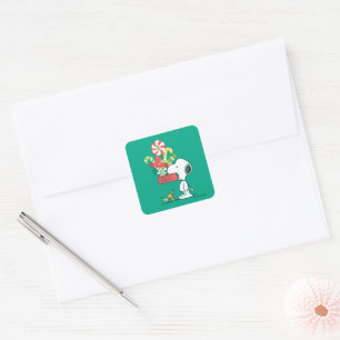 pinda's   Hoe meer de Merrier Vierkante Sticker