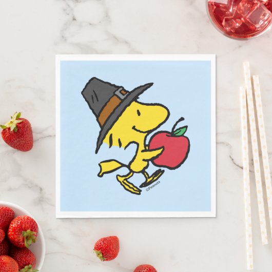 pinda's | Hout Pilgrim Servet (Insitu)