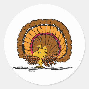 pinda's Hout Turkije Ronde Sticker