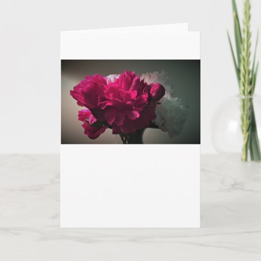 pinda's, kaart (Voorkant)