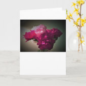 pinda's, kaart (Gele Bloem)