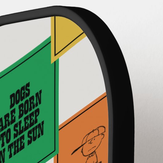 pinda's | Leuk Colorblock Patroon Pickleball Paddle (Links Detail)