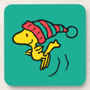 pinda's   Pet Woodstock Winter Beanie Bier Onderzetter