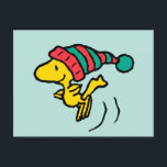 pinda's | Pet Woodstock Winter Beanie Briefkaart<br><div class="desc">Bekijk dit superschattige kerstvakantieontwerp van Peanuts met Woodstock in een winterse pet.</div>