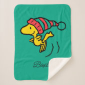 pinda's | Pet Woodstock Winter Beanie Sherpa Deken (Voorkant)