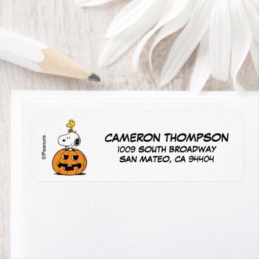 pinda's | Pop van snoopy en Woodstock Etiket (Insitu)