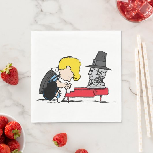 pinda's | Schroeder Pilgrim Servet (Insitu)