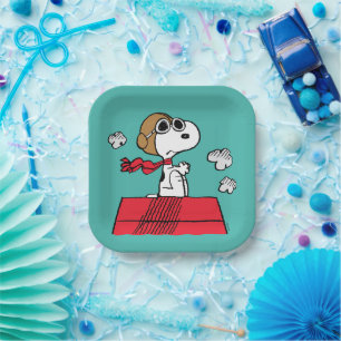 pinda's   Snoopy de Flying Ace Papieren Bordje