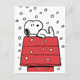 pinda's   Snoopy Doghouse Snowflakes Briefkaart