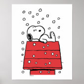 pinda's | Snoopy Doghouse Snowflakes Poster (Voorkant)