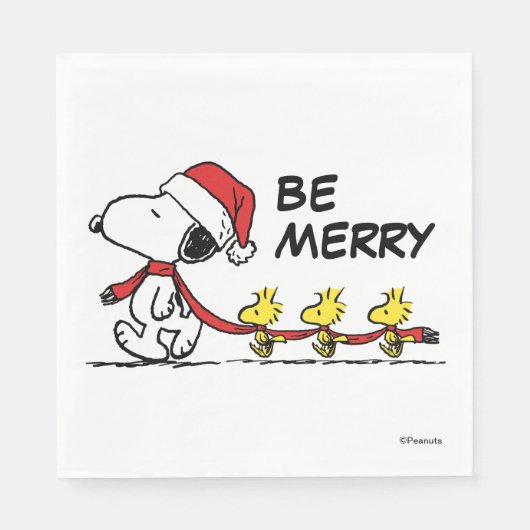 pinda's | Snoopy & Friends Winter Scarf Servet (Voorkant)