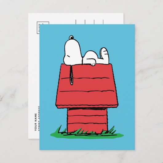 pinda's | Snoopy Napping Briefkaart (Voorkant / Achterkant)