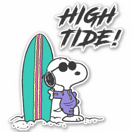 pinda's | Snoopy Ocean High Tide Sticker (Voorkant)