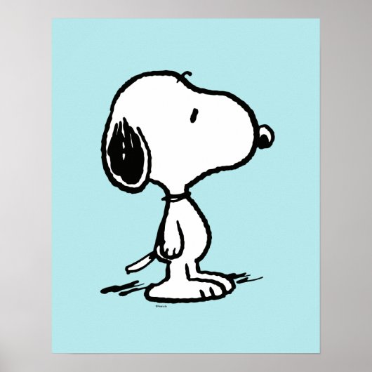 pinda's | Snoopy Poster (Voorkant)