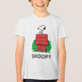 pinda's | Snoopy Resting on Doghouse Tri-Blend Shirt (Voorkant)