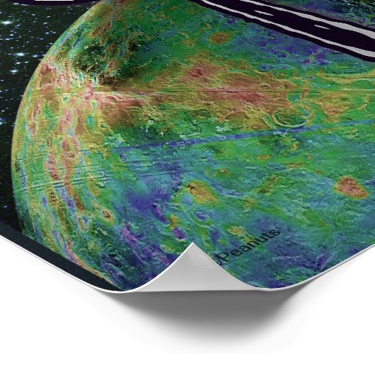 pinda's | Snoopy spp. Poster (Hoek)