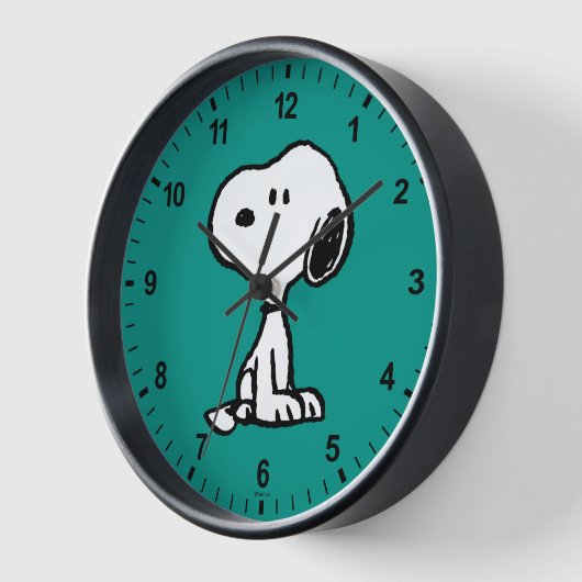 pinda's | Snoopy Turns (Hoek)