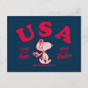 pinda's   Snoopy USA Land of the Free Briefkaart