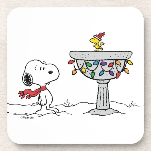 pinda's | Snoopy & Woodstock Frozen Birdbath Bier Onderzetter (Voorkant)