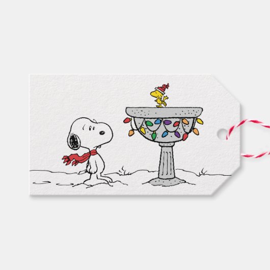 pinda's | Snoopy & Woodstock Frozen Birdbath Cadeaulabel (Voorkant (Horizontaal))