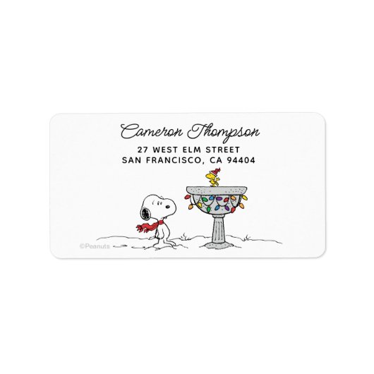 pinda's | Snoopy & Woodstock Frozen Birdbath Etiket (Voorkant)