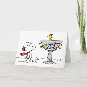 pinda's   Snoopy & Woodstock Frozen Birdbath Feestdagen Kaart