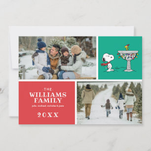 pinda's   Snoopy & Woodstock Frozen Birdbath Feestdagenkaart