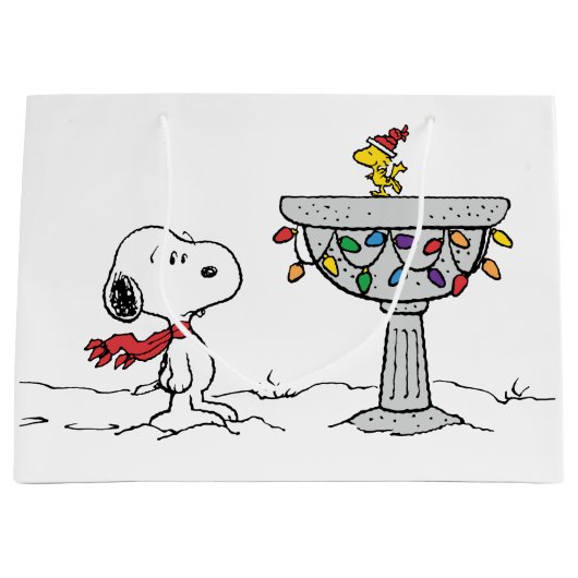 pinda's | Snoopy & Woodstock Frozen Birdbath Groot Cadeauzakje (Voorkant)