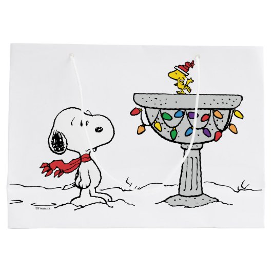 pinda's | Snoopy & Woodstock Frozen Birdbath Groot Cadeauzakje (Achterkant)