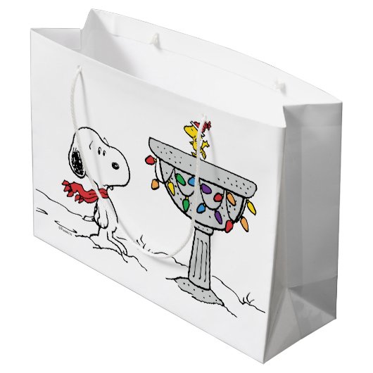 pinda's | Snoopy & Woodstock Frozen Birdbath Groot Cadeauzakje (Achterkant Gekanteld)