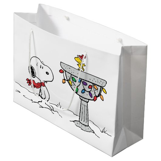 pinda's | Snoopy & Woodstock Frozen Birdbath Groot Cadeauzakje (Voorkant Gekanteld)