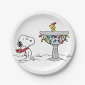 pinda's | Snoopy & Woodstock Frozen Birdbath Papieren Bordje (Voorkant)