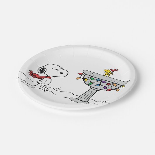 pinda's | Snoopy & Woodstock Frozen Birdbath Papieren Bordje (Gekanteld)