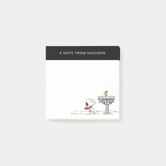 pinda's | Snoopy & Woodstock Frozen Birdbath Post-it® Notes (Voorkant)