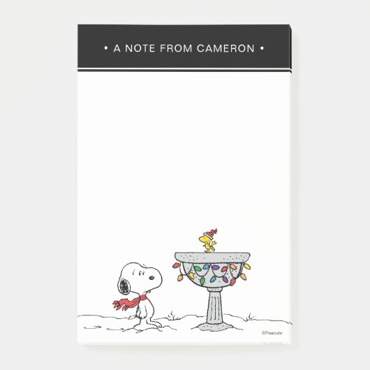 pinda's | Snoopy & Woodstock Frozen Birdbath Post-it® Notes (Voorkant)