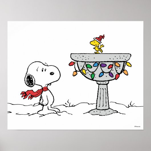 pinda's | Snoopy & Woodstock Frozen Birdbath Poster (Voorkant)