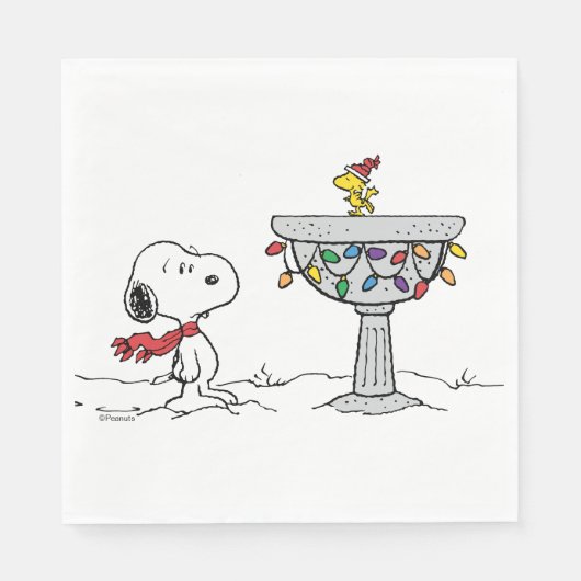 pinda's | Snoopy & Woodstock Frozen Birdbath Servet (Voorkant)