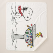 pinda's | Snoopy & Woodstock Frozen Birdbath Sherpa Deken (Voorkant)