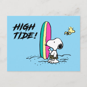 pinda's   Snoopy & Woodstock High Tide Briefkaart