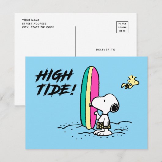pinda's | Snoopy & Woodstock High Tide Briefkaart (Voorkant / Achterkant)