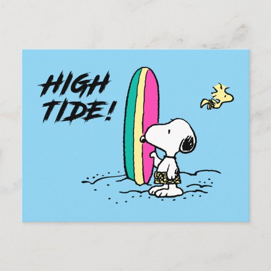 pinda's | Snoopy & Woodstock High Tide Briefkaart (Voorkant)
