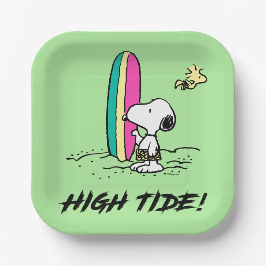 pinda's | Snoopy & Woodstock High Tide Papieren Bordje (Voorkant)