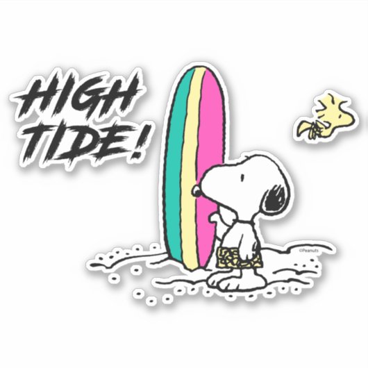 pinda's | Snoopy & Woodstock High Tide Sticker (Voorkant)